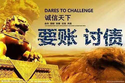 新龙清账公司